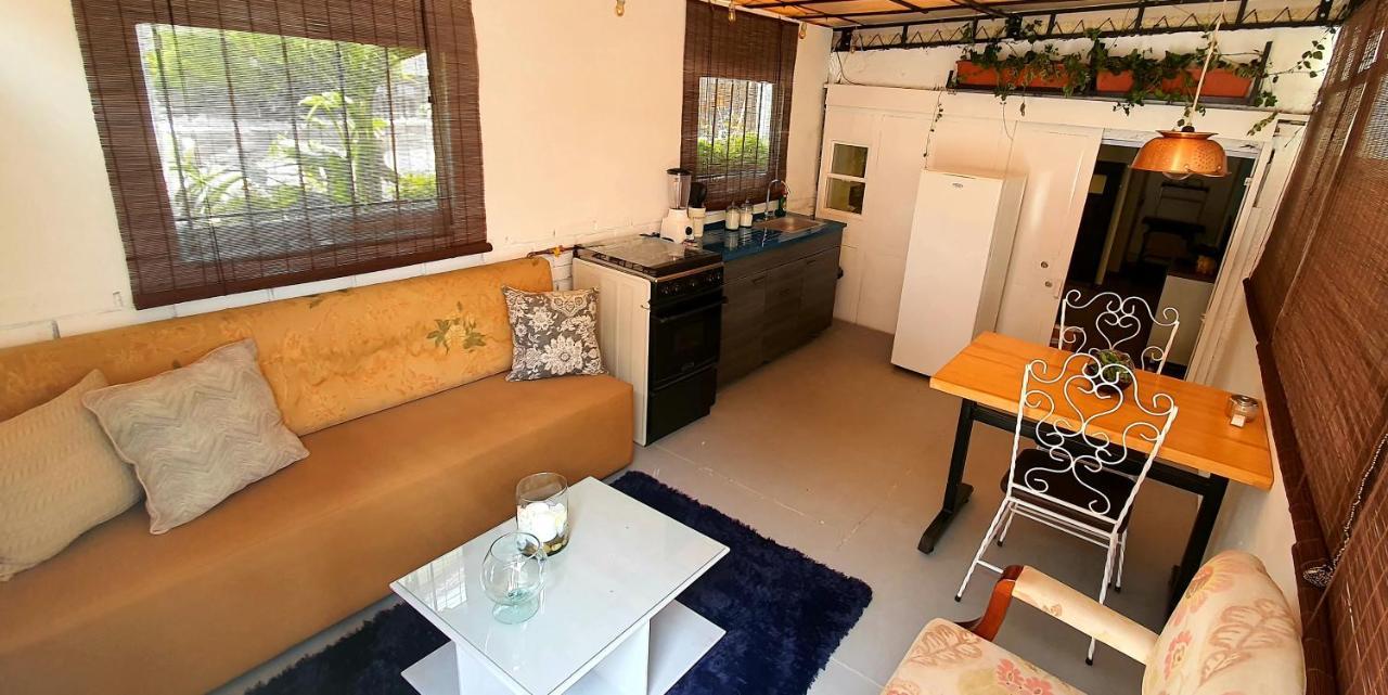 Aparta Estudio Xenia